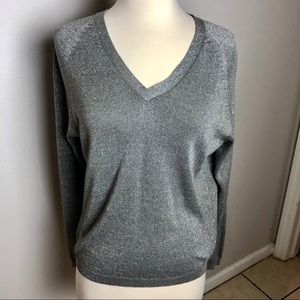 Joseph A Gorgeous Top, Silver , Size Large